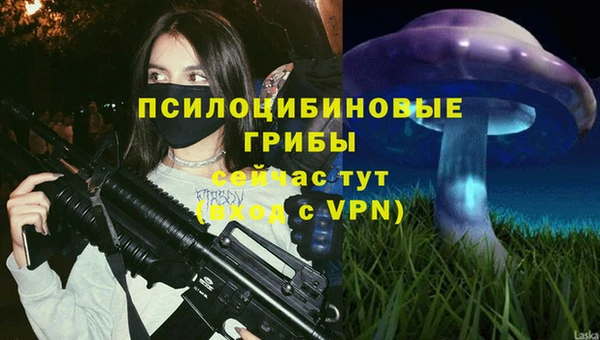 MESCALINE Арсеньев